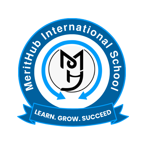 MeritHub International School