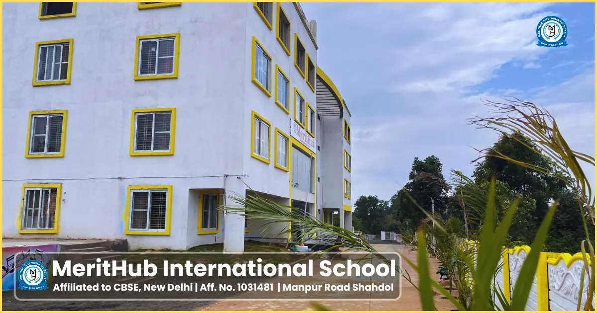 MeritHub International School